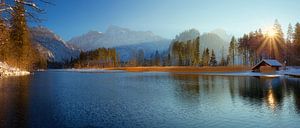 Winterlicher Almsee
