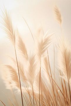 Fluffy grass by Steffen Gierok