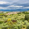 View of trees and houses in Florence, Italy by Rico Ködder
