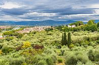 View of trees and houses in Florence, Italy by Rico Ködder thumbnail
