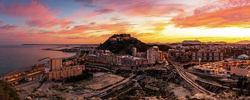 Alicante