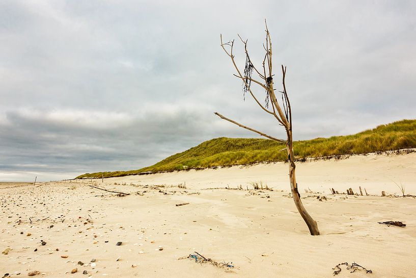 Landschaft am Strand auf der Insel Amrum von Rico Ködder