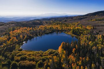 Fish lake national forest by Martin Podt