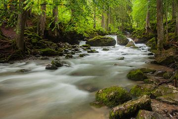 Mountain stream, Alps by Frank Peters