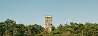 Uitkijktoren bij Herpen van Wouter Bos thumbnail