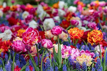 Multicolour veld voorjaarsbloemen van Marly De Kok
