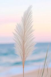 Pampas grass on the beach - Soft colours by Poster Art Shop