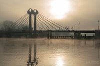 twistfly bridge, stashagen, Zwolle