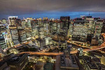 The Tokyo skyscraper skyline in the center of the city in Japan by Michiel Ton