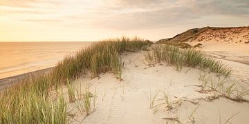 Sylt dunes panoramic by Dirk Thoms