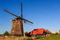 Authenthieke korenmolen de Otter in Oterleek.