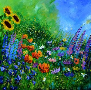 Garden flowers
