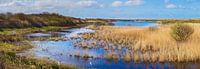 Panorama of nature reserve Kroon's Polders on Vlieland by Henk Meijer Photography thumbnail