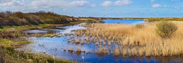 Panorama de la réserve naturelle Kroon's Polders sur Vlieland