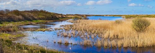 Panorama van natuurgebied Kroon's Polders op Vlieland
