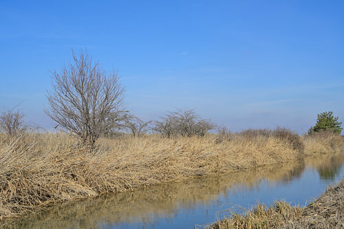 Der Wiener Neustädter Kanal fließt durch eine trockene Winterlandschaft