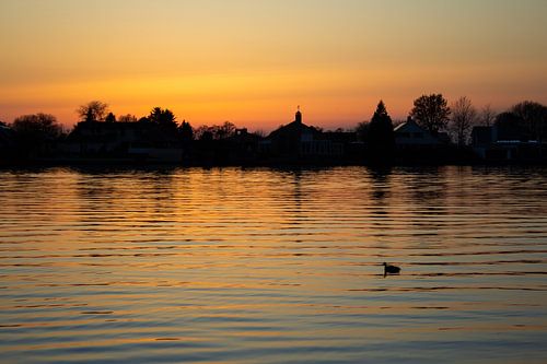 De eenzame eend op het grote gat