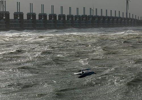 Stormvloedkering Oosterschelde