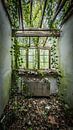 Dilapidated room in abandoned villa by Inge van den Brande thumbnail