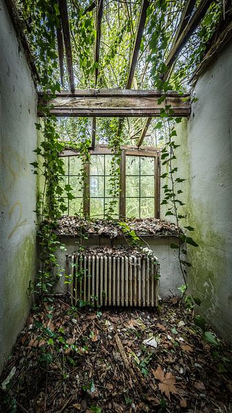Dilapidated room in abandoned villa by Inge van den Brande