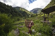 Himalayan walk by Merijn Geurts thumbnail