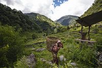 Himalayan walk