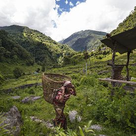 La marche de l'Himalaya sur Merijn Geurts