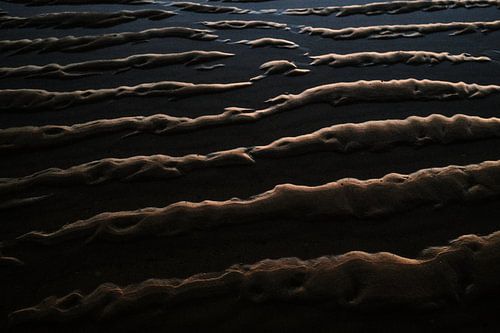 Golden Glow am Strand von Mimizan