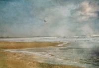 seaside