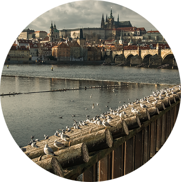 LOST IN PRAGUE 2019-50 van OFOTO RAY van Schaffelaar