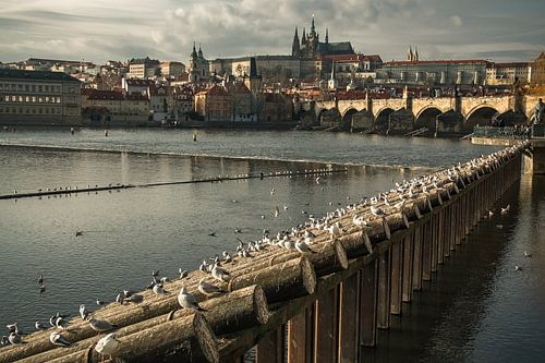 LOST IN PRAGUE 2019-50