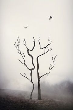A couple of trees by Elianne van Turennout