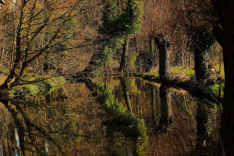 stream landscape in the winter sun by stijn 