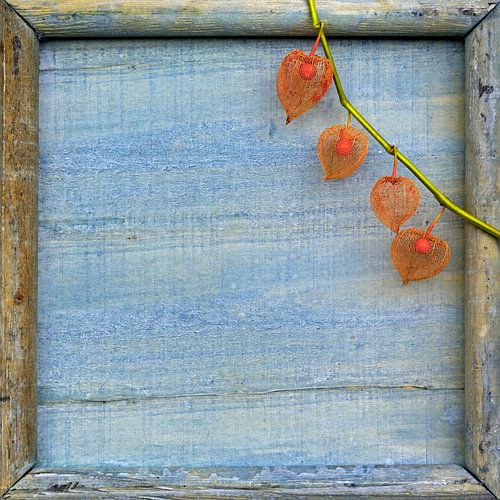 Orange Lanterns on a Blue Wooden Tray