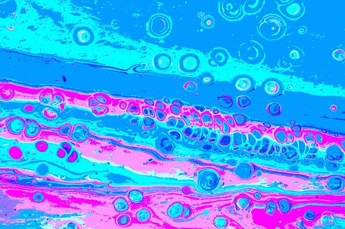 Roze/ Pink/ Rosa/ Rose