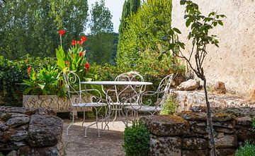 een terras in een tuin met zitje en bloeiende cana en andere bloemen en planten van ChrisWillemsen