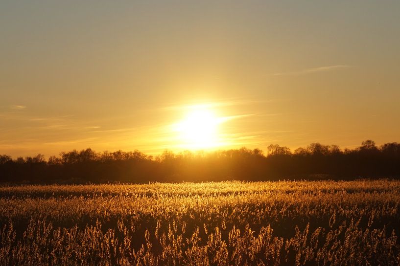 sunset veluwe by philip egmond vanwaesberge