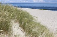 Dune with dune grass and endless beach on Sylt