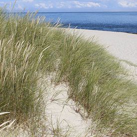 Düne mit Dünengras und endlosen Strand auf Sylt von Martin Flechsig