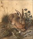 De haas, Hans Hoffmann van Meesterlijcke Meesters thumbnail