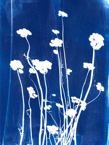 Gedroogde bloemen in blauw