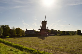 Die Mühle „De Korenhalm“ im Morgenlicht – ’s-Gravenpolder