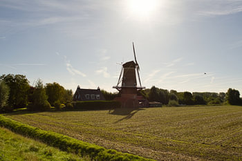 Die Mühle „De Korenhalm“ im Morgenlicht – ’s-Gravenpolder