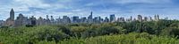 Central Park Manhattan Ansicht von Bob de Bruin Miniaturansicht