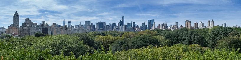Central Park Manhattan View van Bob de Bruin