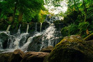 Kleiner Wasserfall im Wald mit Moos auf Steinen