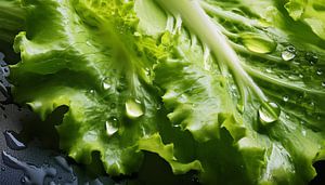 Detaillierte Nahaufnahme einer grünen Salatblattes