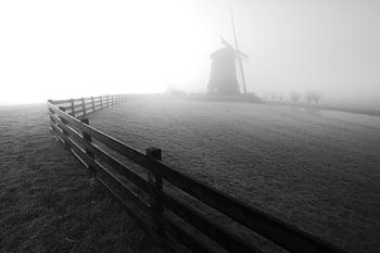 Foggy morning with mills and meadow