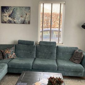 Klantfoto: Paardenbloem van Julia Delgado, als art frame