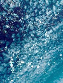 Oxygène sur Angelo Cerantola